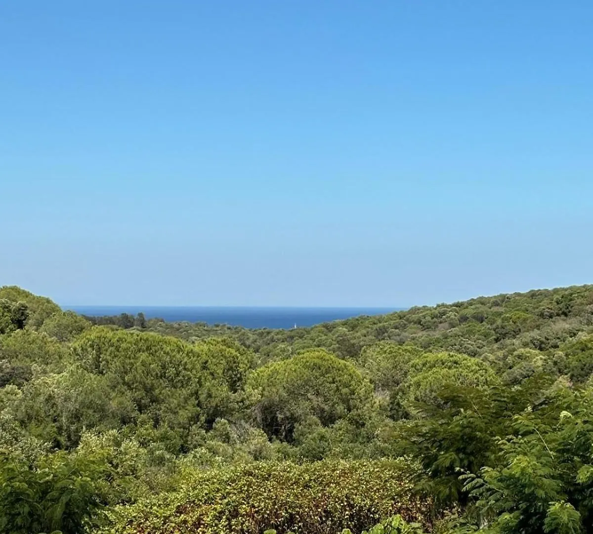 2139 - Lovely 2 Bedrooms First Line Golf Alcaidesa Apartment